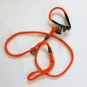 Dog Collar and Leash, Nylon and Leather